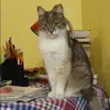 Отзыв от Ульяна Савельева